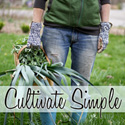 Cultivate Simple Podcast Artwork